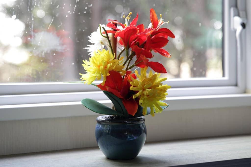 Edinburgh - Seton Sands-Cameo Caravan-Pet Friendly المظهر الخارجي الصورة